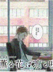 城市漫游者 旅行人文综艺